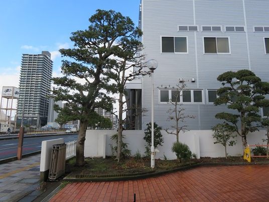 建物外観と植栽の外構  