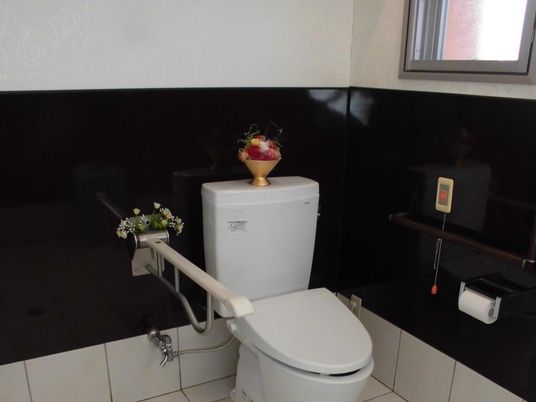 清潔なトイレの一角