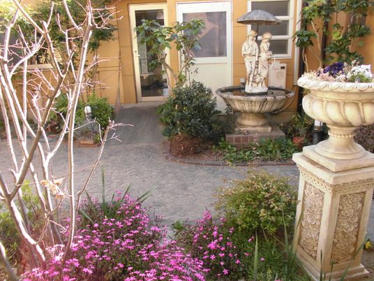 中庭の明るい風景