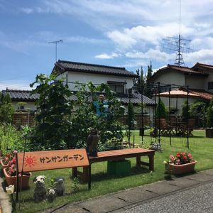 植物が豊富な庭