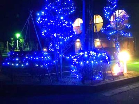 青く光る庭木の中庭  