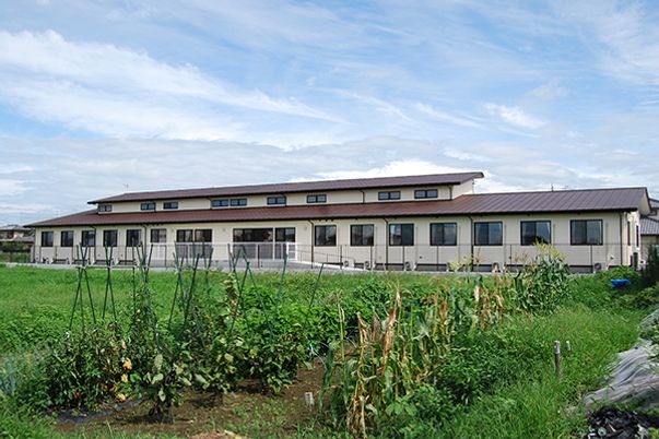 広々とした建物の外観