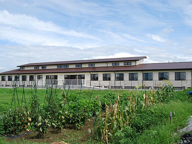 広々とした建物の外観 外観 広大な敷地に立地した開放感のある建物です。日当たりが良く、自然の中で働けます。
