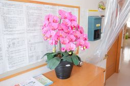 ピンクの花が印象的な受付