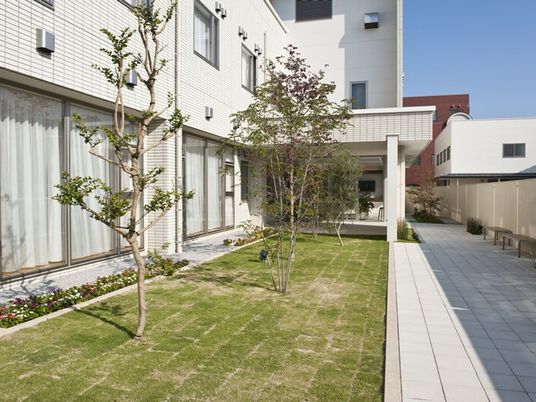 緑の庭と通路  