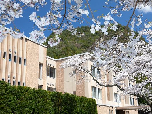 桜と建物の外観  