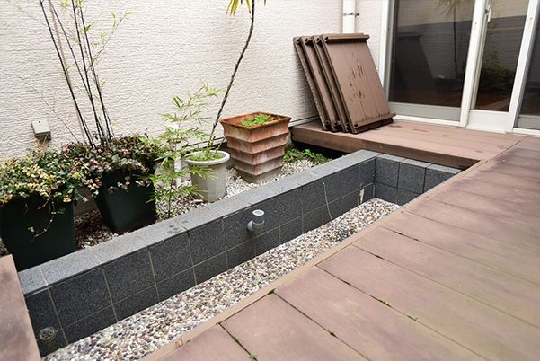 庭の植物とベンチ