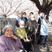 桜の木の下の集合写真