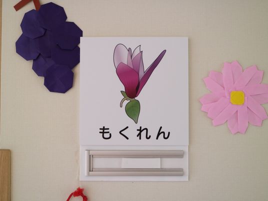 壁の飾りと掲示物