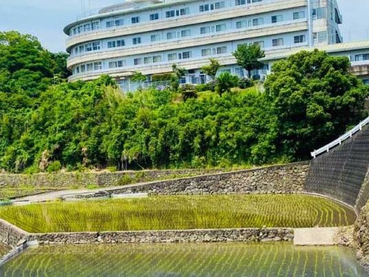 建物と棚田の外観  