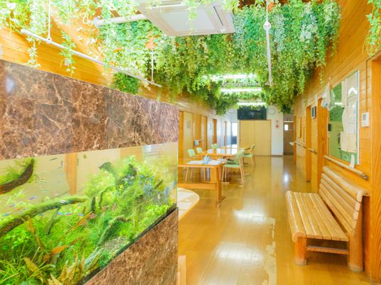 暖かみのある廊下の風景