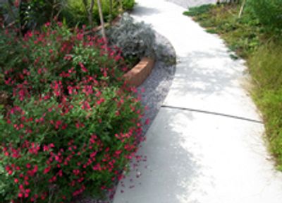 花壇と散策路の風景