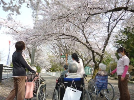 桜の下で散歩する人々
