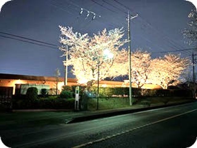 夜に光る建物の外観 外観   夜空の下で、建物と並木が明るく照らされています。落ち着いた雰囲気で、働く環境の印象をつかみやすいです。