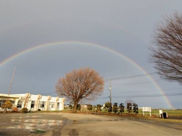 美しい庭の風景 庭 大きな木と虹が映える庭の風景です。広々とした自然環境が自慢の落ち着いた場所です。