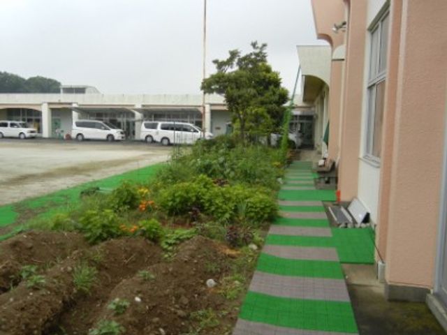 緑豊かな歩道 庭 植栽に囲まれた小道を歩きながら、自然を感じられるリラックスしたひとときを過ごせます。