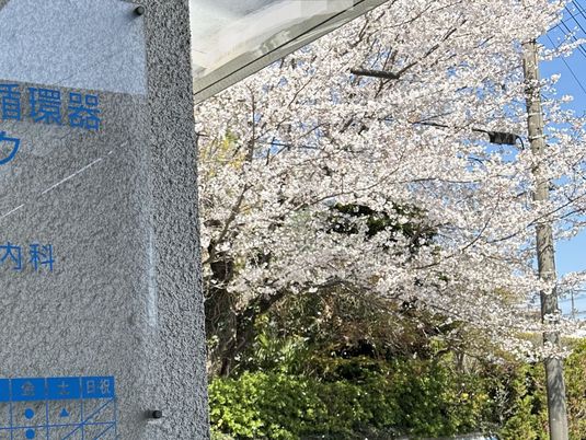 桜並木と施設看板の外観  