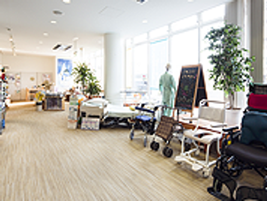 自然光の入るエントランス