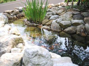池のある庭  