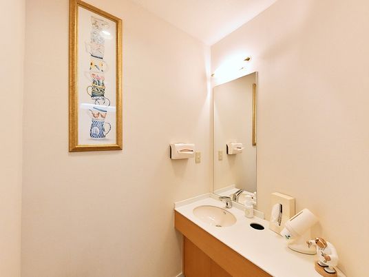 洗面台のある個室の手洗い場  