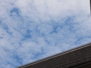 外観の空と屋根  