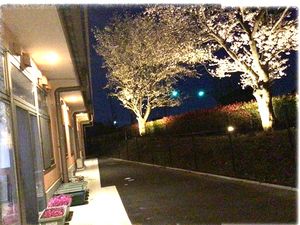 夜の外観  