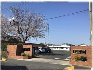 桜並木の施設外観  