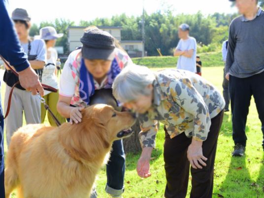 犬と触れ合う様子