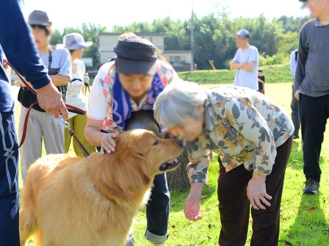 犬と触れ合う様子 庭 庭で犬と触れ合うリラックスしたひとときが過ごせます。心温まる交流の場です。