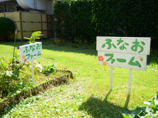 きれいな庭の看板