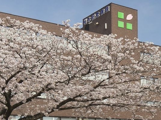 桜と建物外観  