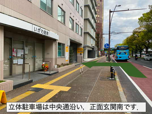 玄関前の歩道  