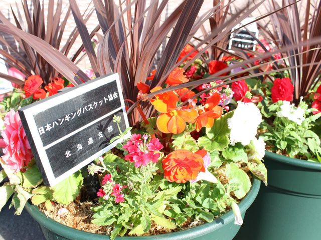 花壇の植栽  