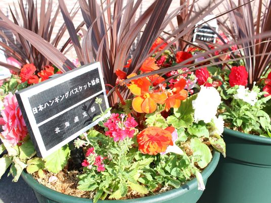 花壇の案内札と花壇  