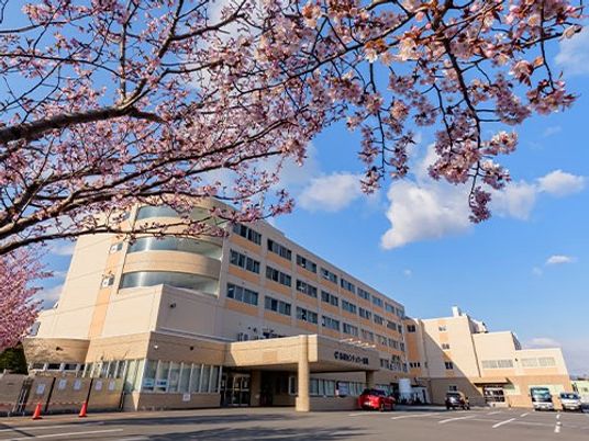 桜と建物の外観  