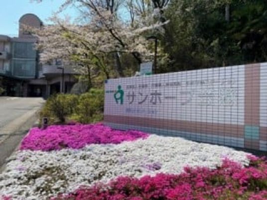 鮮やかな花壇の看板