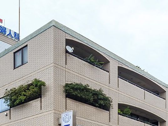 集合住宅風の外観  