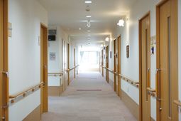 清潔感ある廊下の様子