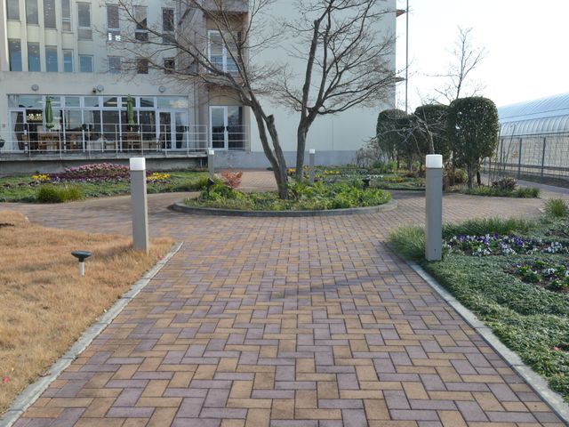 ケアセンターの綺麗な中庭 中庭通路 緑あふれる中庭は、散歩や憩いの場としてご利用いただけます。自然の風を感じながら、穏やかな時間を過ごすことができる空間です。