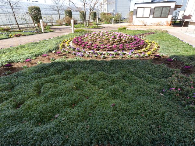 手入れされた緑豊かな庭 テラス内花壇 季節の花々が彩る落ち着いた中庭は、ゆったりとした時間が流れる癒しの空間です。