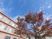 建物と紅葉の外観  