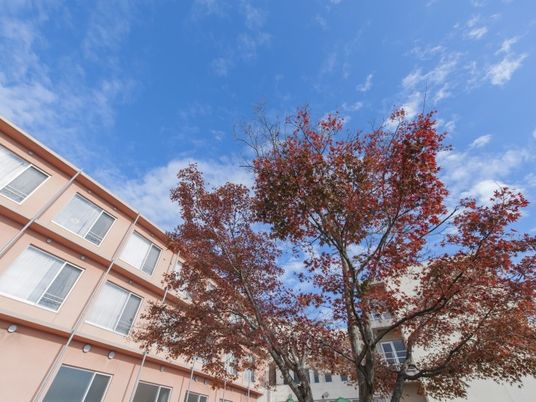 建物と紅葉の外観  