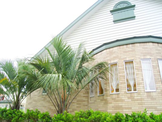 外観の建物と植栽  