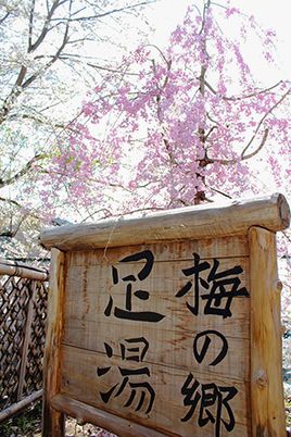花と梅の看板