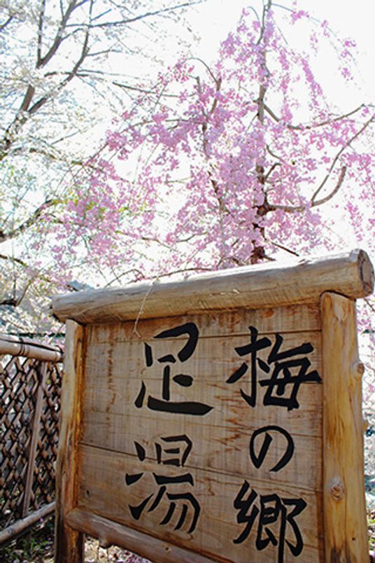 花と梅の看板