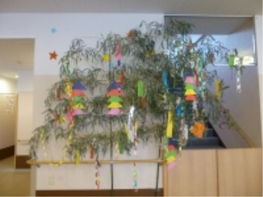 飾り付けされた植物