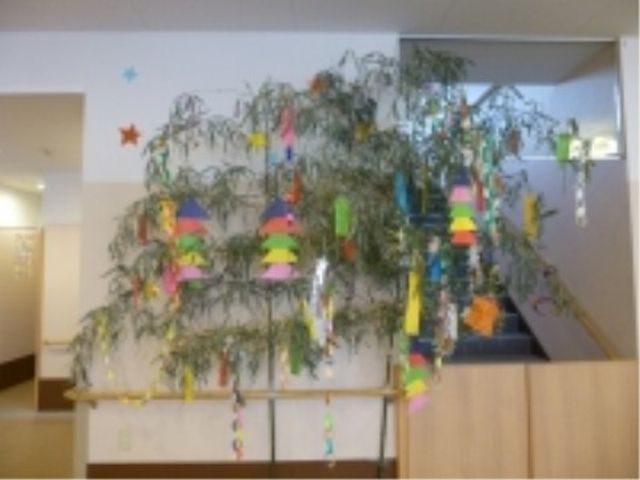 飾り付けされた植物