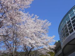 ホーム ヘルパーステーション 梅の郷の外観