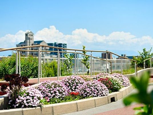 花壇のある屋上庭  