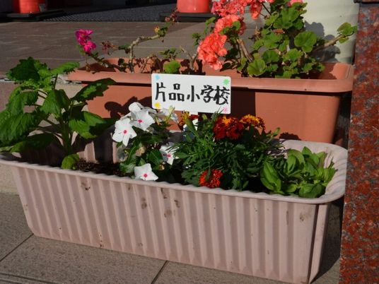 花壇の植物と名札がある庭先  